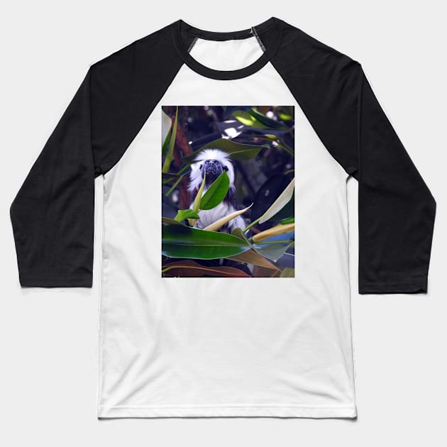 Cotton-top Tamarin Baseball T-Shirt by kirstybush